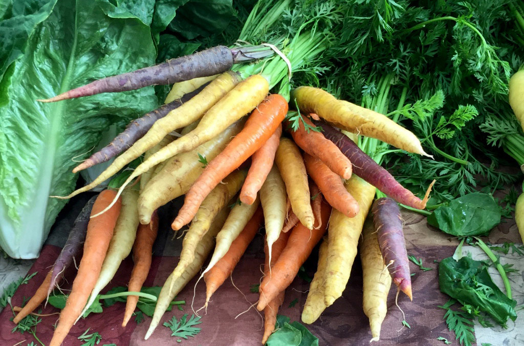 Carrots – Colorful!