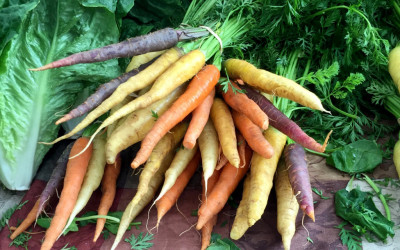 Carrots – Colorful!