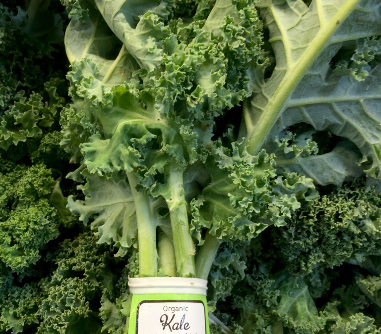 Kale – Curly – organic