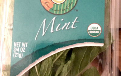 Mint – fresh herb