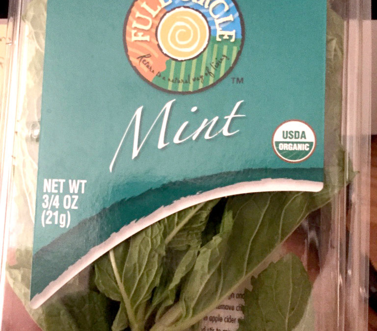 Mint – fresh herb