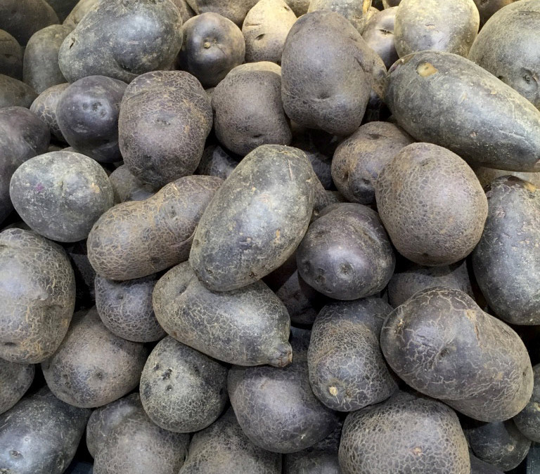 Potatoes – purple