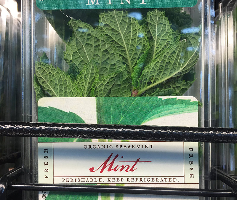Mint – Fresh (organic) – TJ
