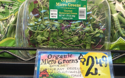 Micro Greens (organic) – TJ